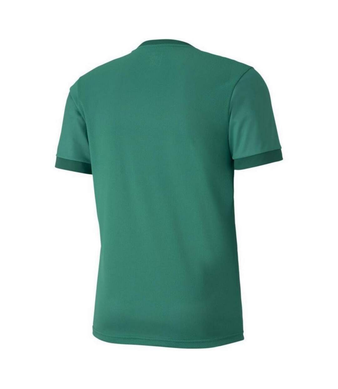 Maillot Teamgoal Homme Vert Puma-2