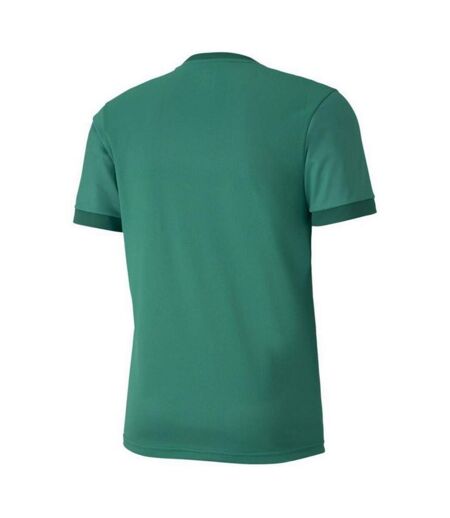 Maillot Teamgoal Homme Vert Puma