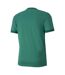 Maillot Teamgoal Homme Vert Puma-2