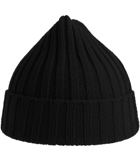 Atlantis Unisex Adult Shore Chunky Recycled Beanie (Black) - UTAB616