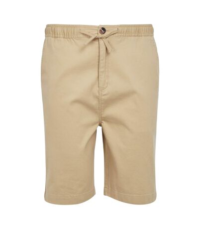 Mens aldan chino shorts oat Regatta