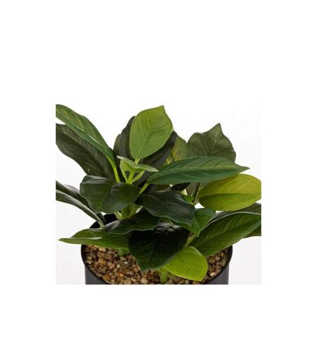 Plante Artificielle en Pot Cosy 20cm Noir & Vert