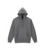 Sweat Uni Et Épais À Capuche Hammer Maxweight Homme Gris Gildan-1
