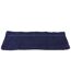 Towel City Luxury Range 550 GSM - Gym Towel (40 X 60 CM) (Navy) (One Size)