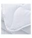 Couette blanche today 260/240  percale-2
