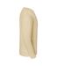 Sweat Iconic Premium Homme Sable Du Désert Fruit Of The Loom-3