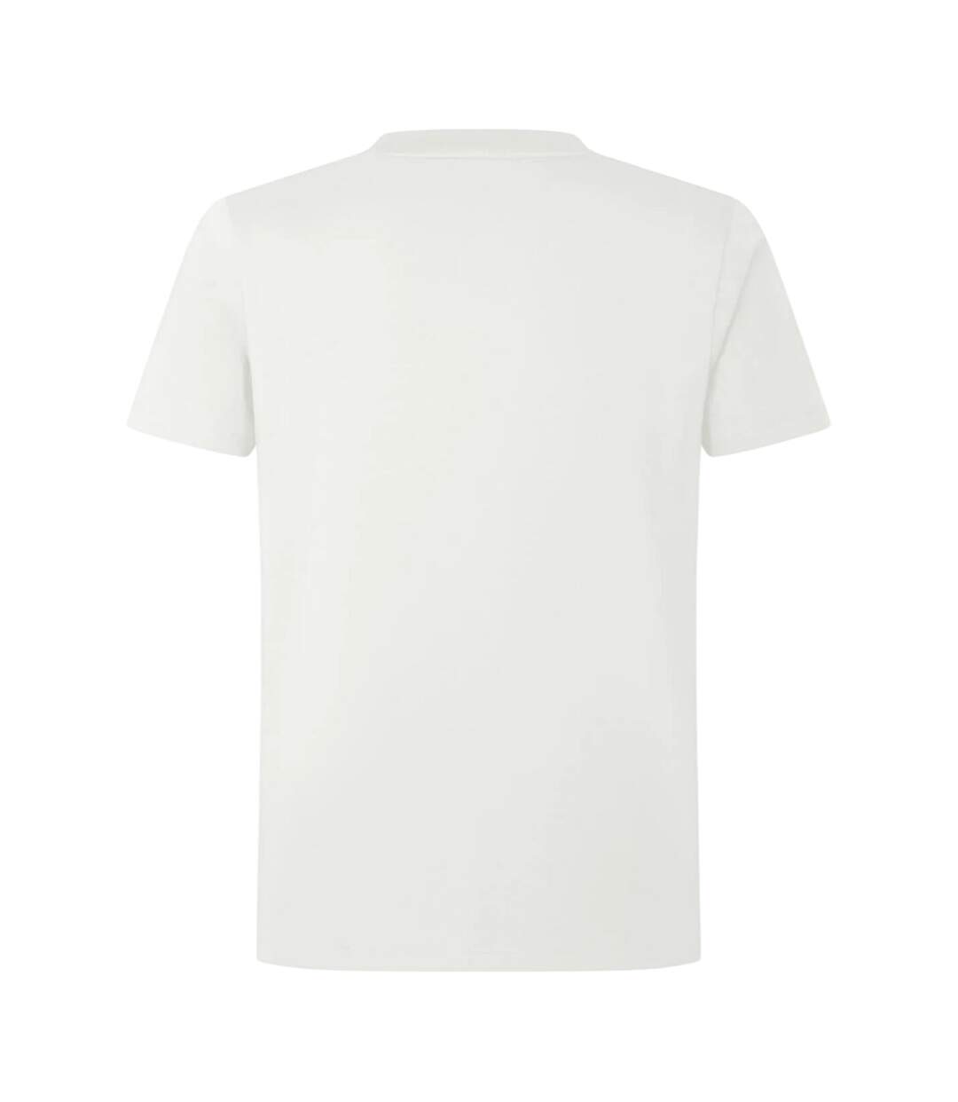 T-shirt Motif/style  Homme Blanc British & Irish Lions-3