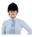 Womens/ladies Champion Show Rider Quarter Zip Long-sleeved Competition Shirt Blue Supreme Products-4