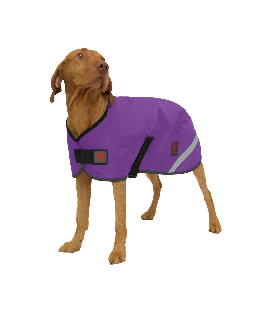 Fleece lined dog coat 56cm purple Firefoot-1