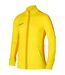 Veste Academy Homme Jaune Nike-1