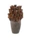 Vase en Porcelaine Anémone 46cm Marron-1