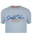 Mens Graphic Print Regular T-shirt Grey SoulCal-4