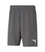 Short Homme Gris Argenté Puma-1