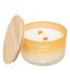 Bougie Parfumée en Verre Sana 420g Terre de Feu-2