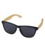 Sun Ray Recycled Plastic Sunglasses (Natural) (One Size) - UTPF4136