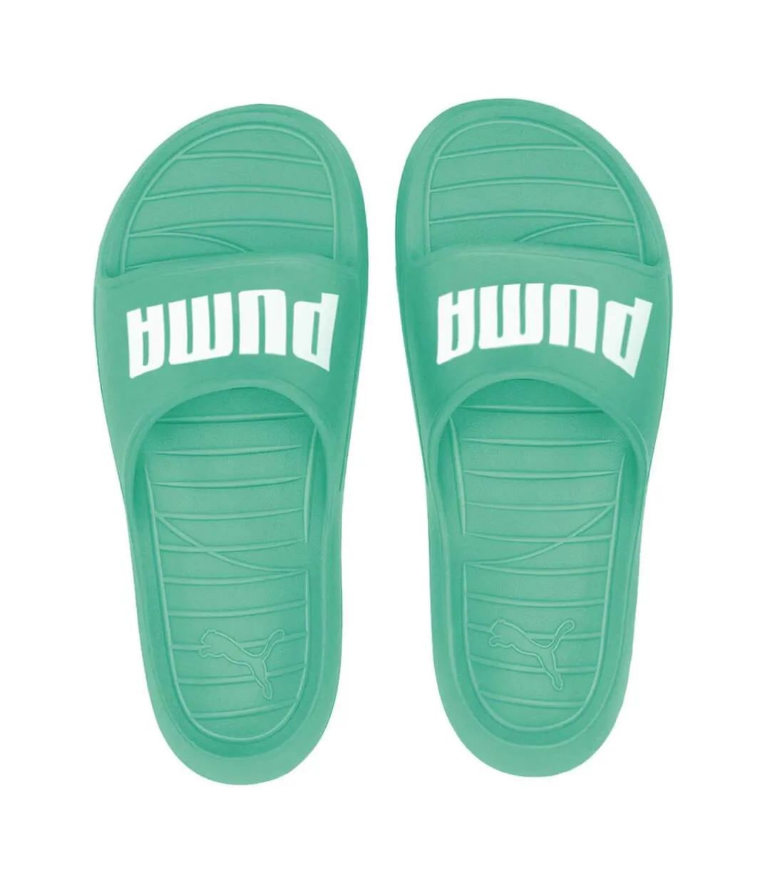 Claquettes Divecat V2 Lite Homme Vert Puma-4