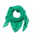 Foulard Vert Mixte Lacoste RE2797 - Taille unique