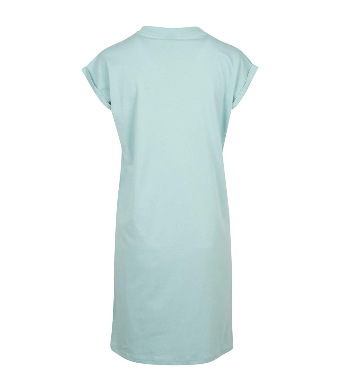 Build Your Brand Womens/Ladies Casual Dress (Pastel Mint) - UTRW7840-2