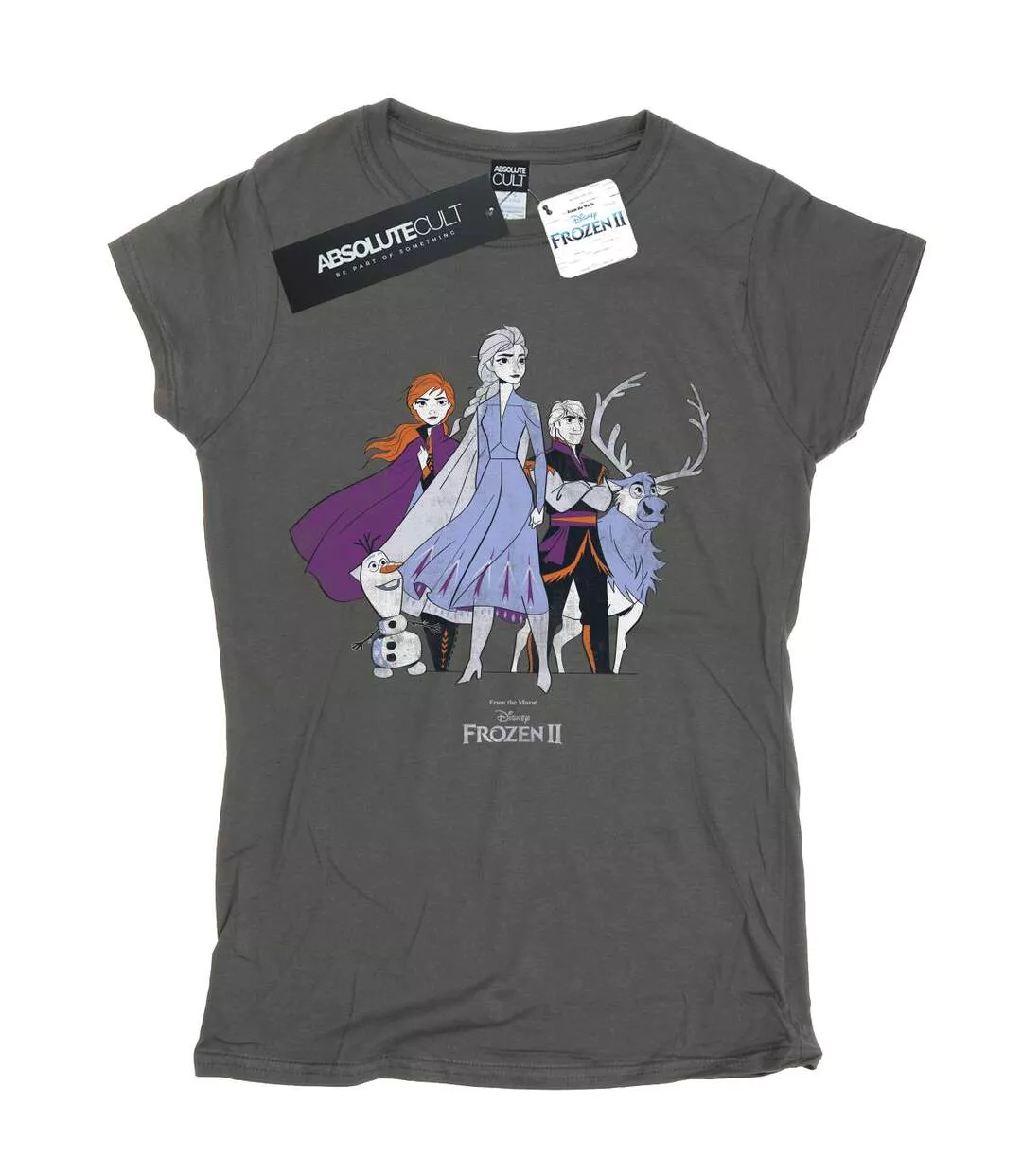 Disney Femmes/Les femmes Frozen 2 - T-shirt en coton grainé à motifs dégradés (Charbon de bois) - UTBI21739-1