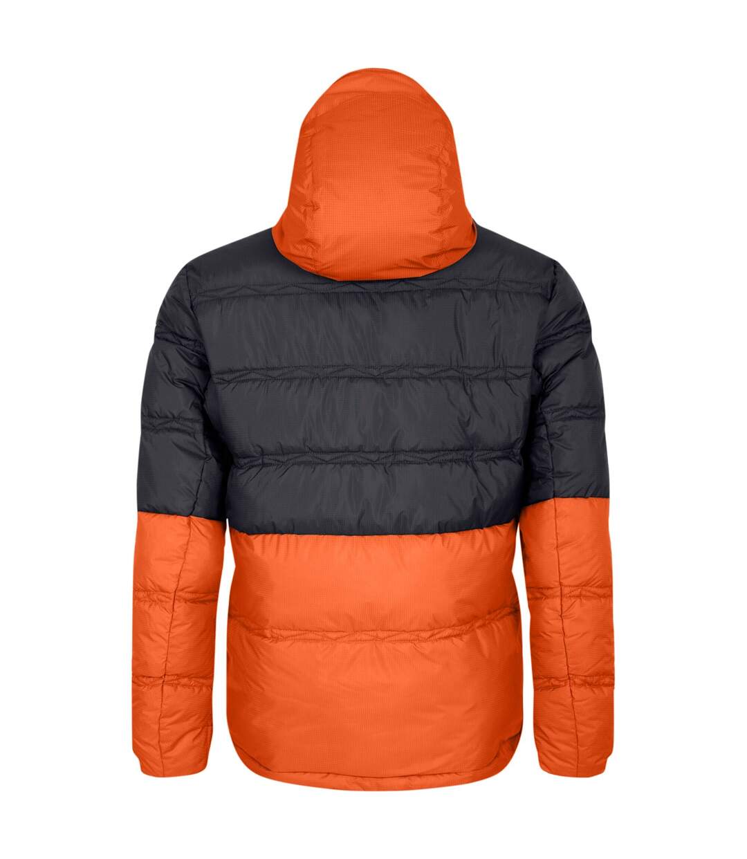 Blouson De Ski Ollie Homme Thé Rooibos Noir Dare 2B-3