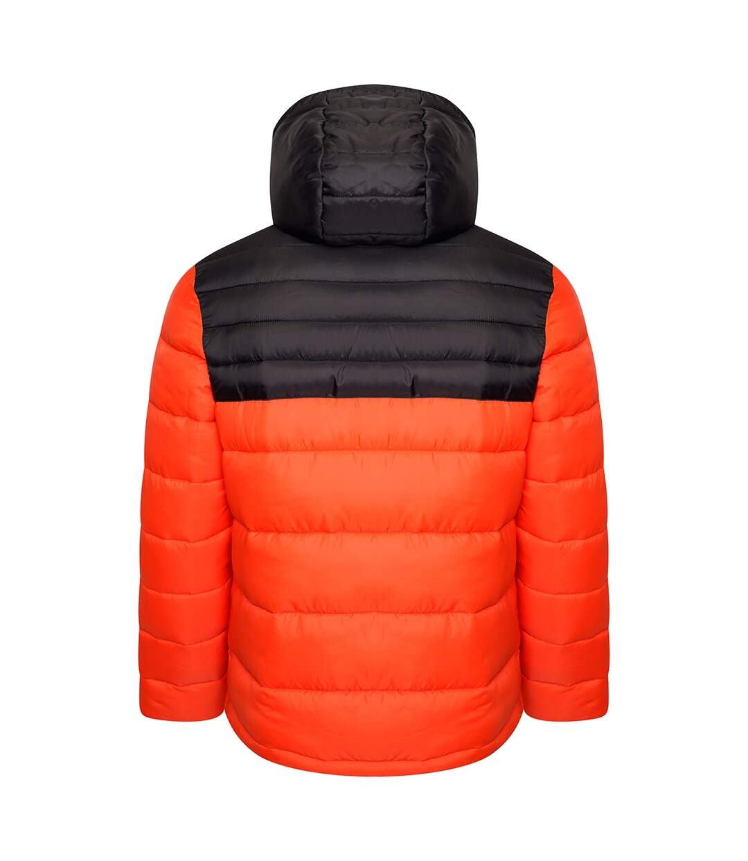 Dare 2B Mens Hot Shot Hooded Puffer Jacket (Amber Glow/Black)