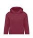 Sweat À Capuche Homme Bordeaux SG Originals-2