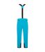 Dare 2B - Pantalon de ski ACHIEVE - Homme (Bleu sarcelle foncé) - UTRG5560