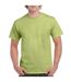 T-shirt Adulte Vert Pistache Gildan-1