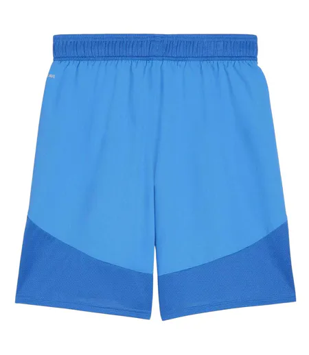 Mens Teamfinal Football Shorts Blue White Puma