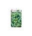 Tapis Imprimé Adriana 45x75cm Vert-2