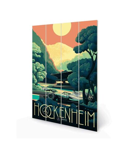 Zoom - Plaque HOCKENHEIM (Multicolore) (59 cm x 40 cm) - UTPM5941