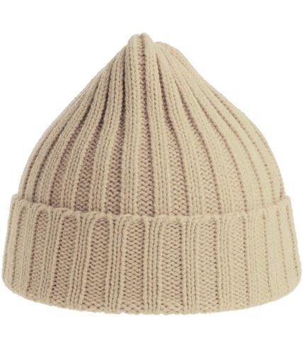 Atlantis Unisex Adult Shore Chunky Recycled Beanie (Beige) - UTAB616