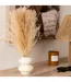 Composition Pampa Artificielle Glen 42cm Blanc-4