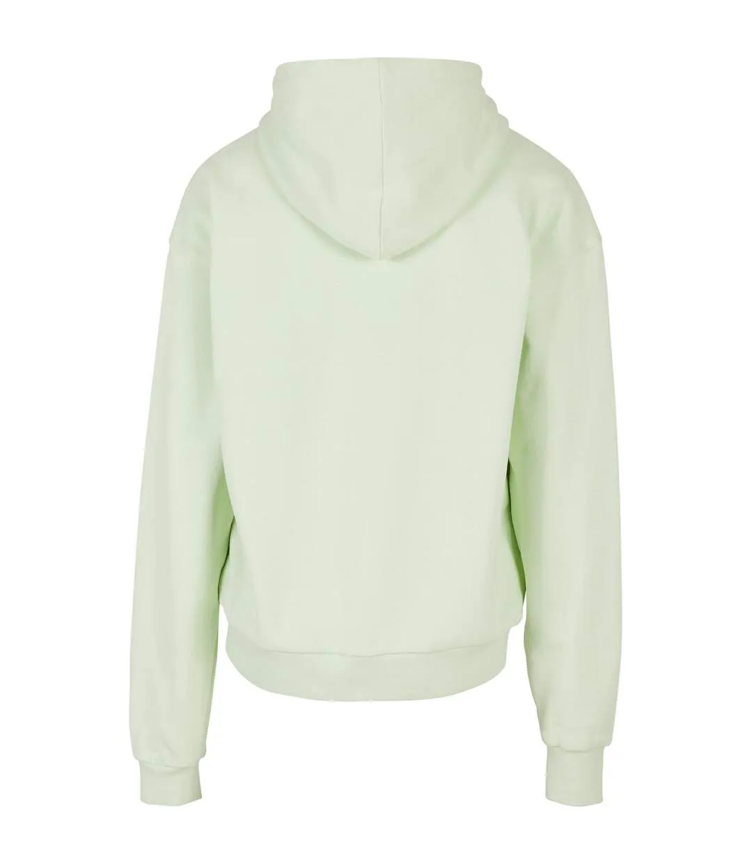 Sweat À Capuche Adulte Menthe Clair Build Your Brand-2