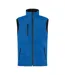 Doudoune Sans Manches Homme Bleu Roi Clique-1