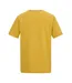 T-shirt Rendro Homme Jaune Vif Regatta-2
