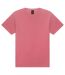 Unisex Adult Washed Canvas Heavyweight T-shirt Washed Red Bella + Canvas-2