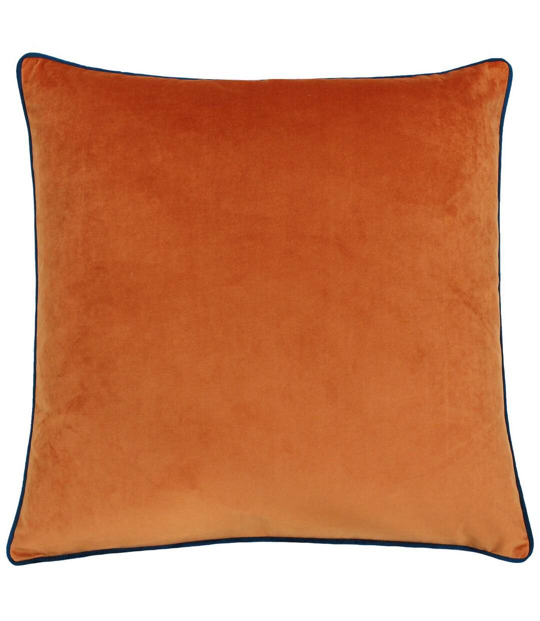 Paoletti Meridian Cushion Cover (Tiger/Teal) - UTRV1119