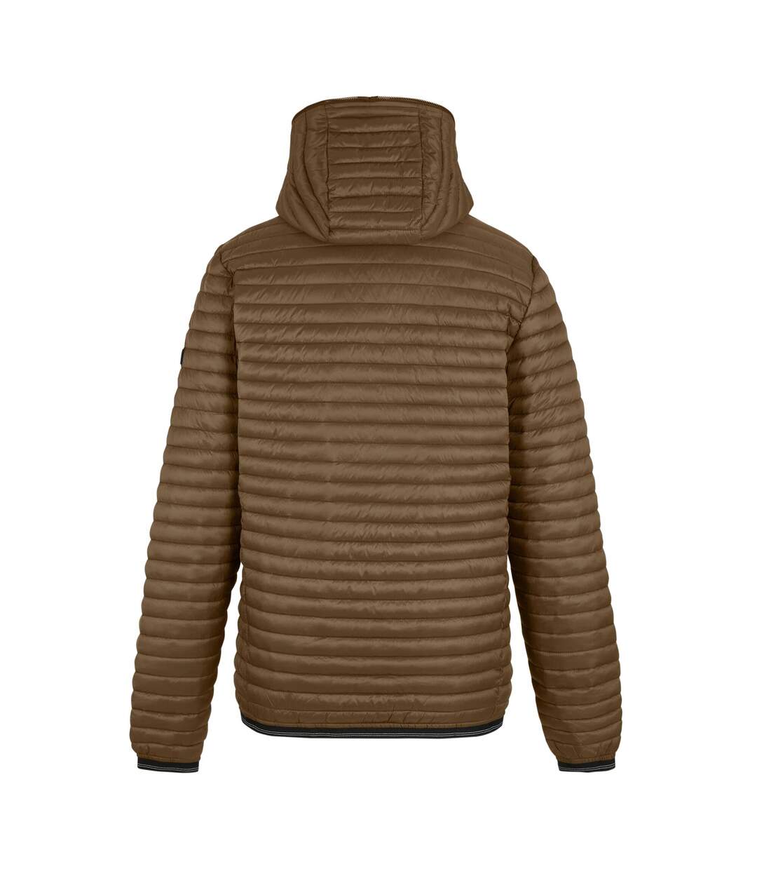 Doudoune Matelassée Rigain Homme Marron Noir Regatta-3