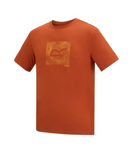 T-shirt Motif/style Abstrait Fingal Homme Thé Rooibos Regatta