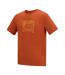T-shirt Motif/style Abstrait Fingal Homme Thé Rooibos Regatta-4