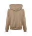 Sweat À Capuche Manches Raglan Homme Rocher Napapijri-3