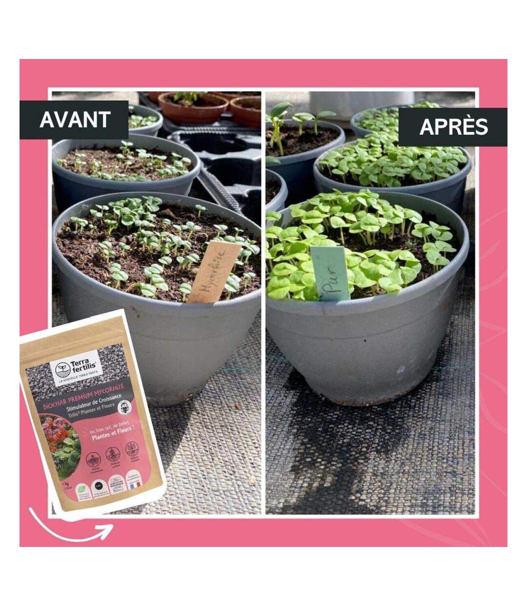 Fertilisant plantes et fleurs à base de mycorhizes 500 gr