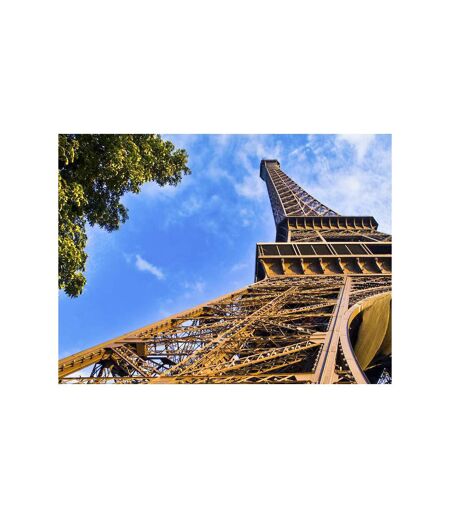 Visite guidée du sommet de la tour Eiffel pour 2 adultes - SMARTBOX - Coffret Cadeau Sport & Aventure