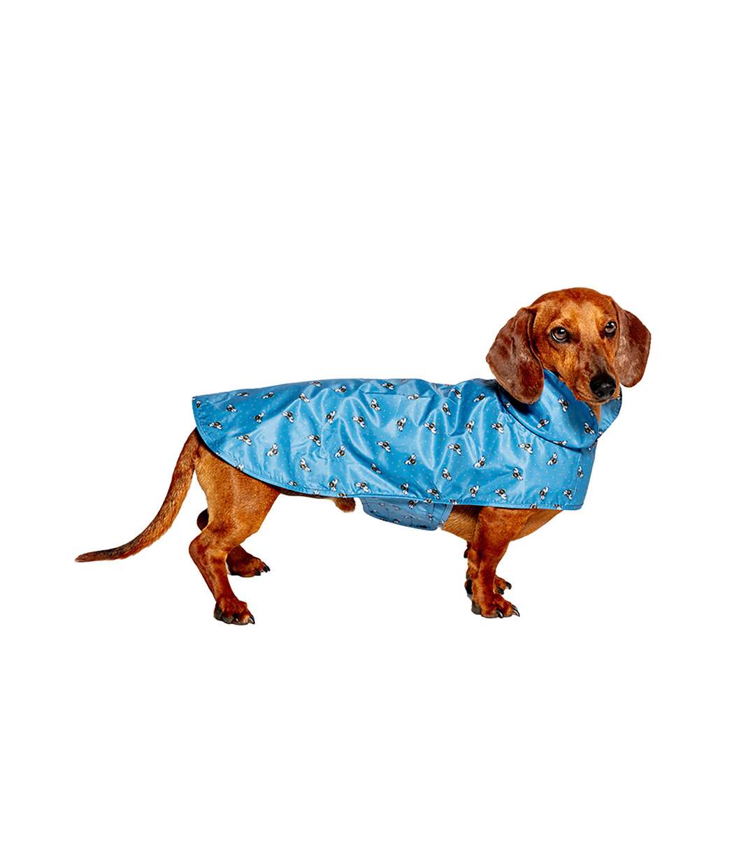 Fatface bees dog raincoat blue Danish Design-1