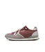 Baskets bordeaux/gris femme pepe jeans marlon-1