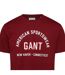 T-shirt Motif/style Imprimé Graphique Homme Rouge Gant-3