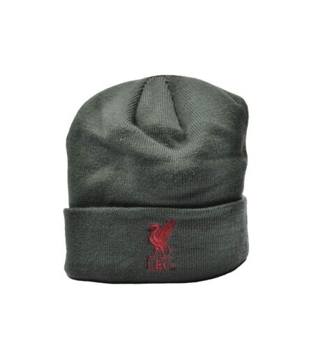 Liverpool FC Unisex Adult Bronx Liver Bird Knitted Turned Up Cuff Beanie (Charcoal/Red) - UTBS3694