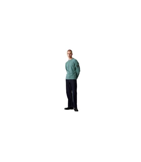 Mens Badge Crew Neck Sweatshirt North Atlantic Calvin Klein