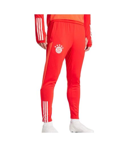 Bayern munich pantalon training rouge homme adidas 23/24 - xxl